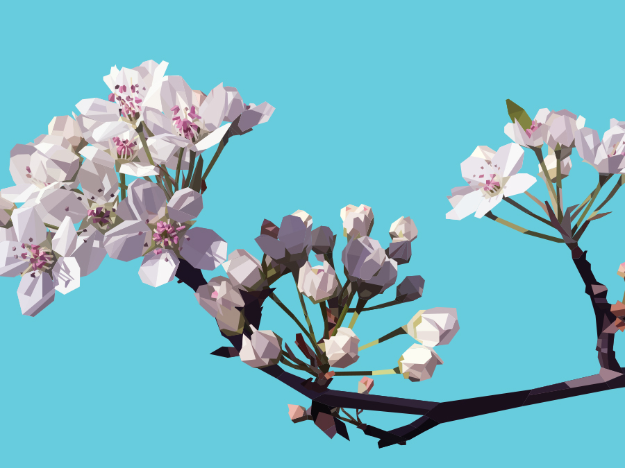 Blossom Blue vector artwork