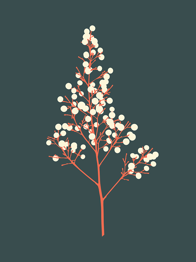 seeds gray vector art