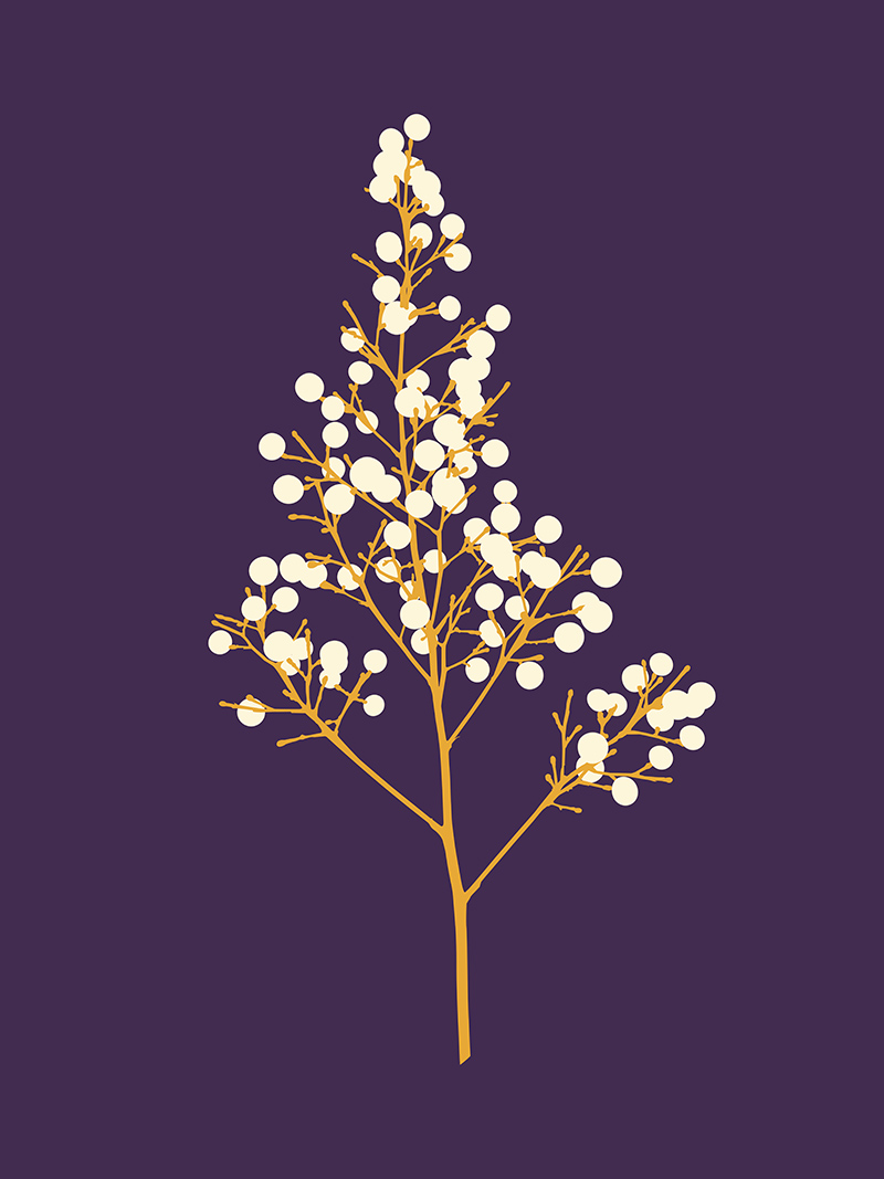 Seeds Mauve Vector Art