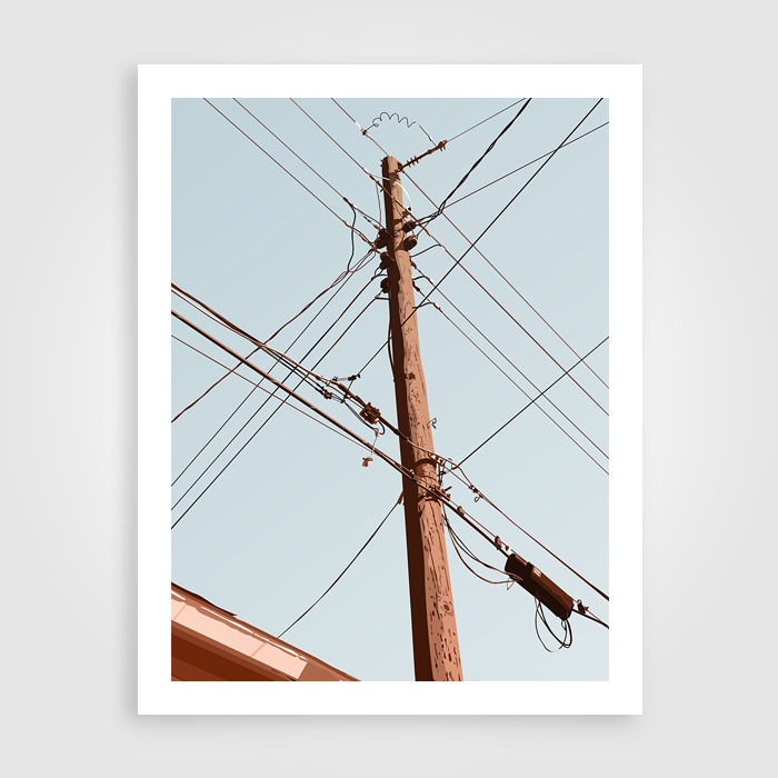 telephone poles - november